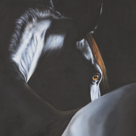 Where-The-Light-Finds-The-Dark_Rachel-Stubbs-Art